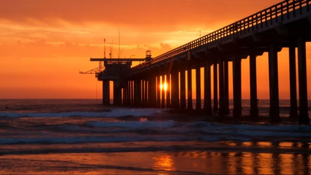Visitantes en La Jolla participan en paseos del Birch Aquarium en el muelle de Scripps con enfoque educativo y turismo responsable