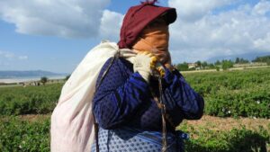 Manifestación en California con mensajes de apoyo a trabajadores y contra el tráfico laboral