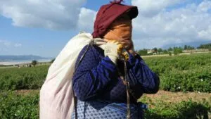 Manifestación en California con mensajes de apoyo a trabajadores y contra el tráfico laboral