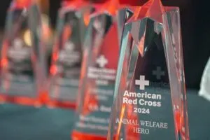 Ceremonia de los Real Heroes Awards en San Diego con homenaje a héroes comunitarios en el USS Midway Museum