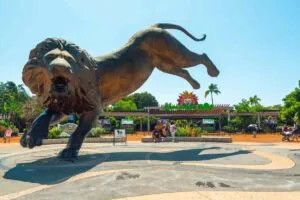Vista del estacionamiento del Zoológico de San Diego con visitantes y señalética urbana en San Diego