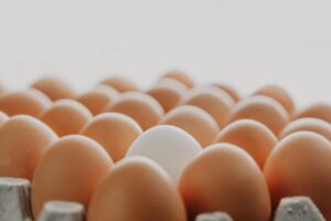 Granja avícola en México con gallinas y huevos frescos, reflejando el auge del huevo mexicano