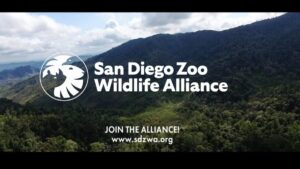 Shawn Dixon, nuevo presidente de la San Diego Zoo Wildlife Alliance, impulsa proyectos de conservación en San Diego Zoo y Safari Park.