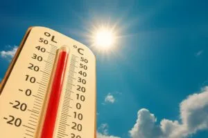 Bomberos en Tijuana responden a emergencias por altas temperaturas y condiciones extremas