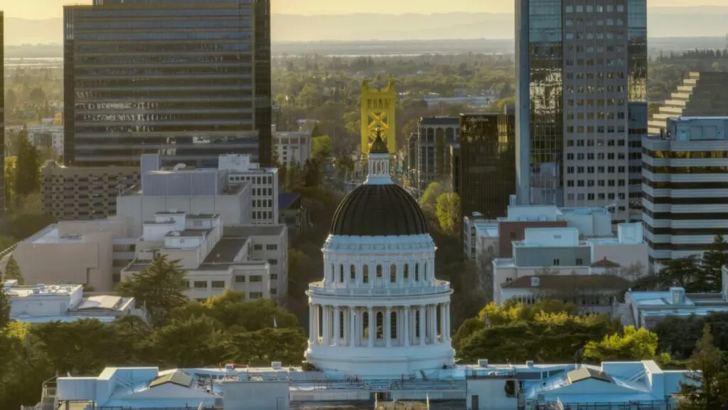 Equipo de rescate de California con caninos y equipamiento especializado durante su despliegue humanitario en Jamaica tras el huracán Melissa.