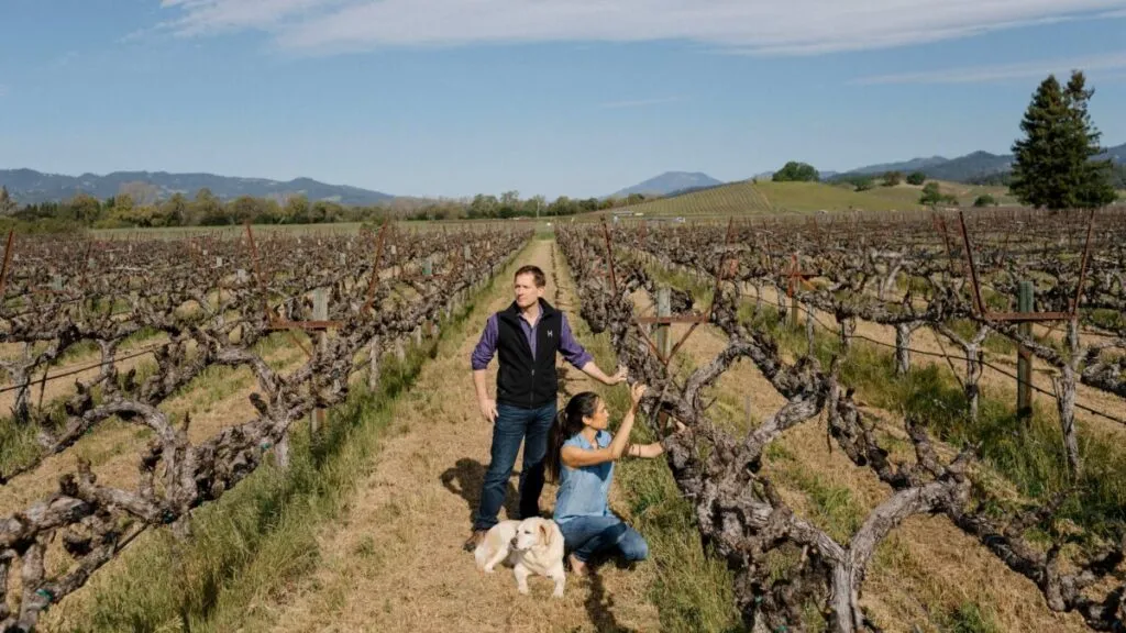 Viñedo californiano abandonado por la crisis del vino y el aumento de costos de producción.