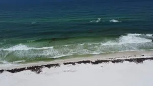 Vista aérea de una playa contaminada en el Golfo de México con residuos industriales, reflejando impacto ambiental y pérdida de biodiversidad