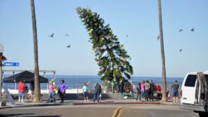 Árbol navideño gigante decorado en Ocean Beach con temática festiva y ambiente comunitario
