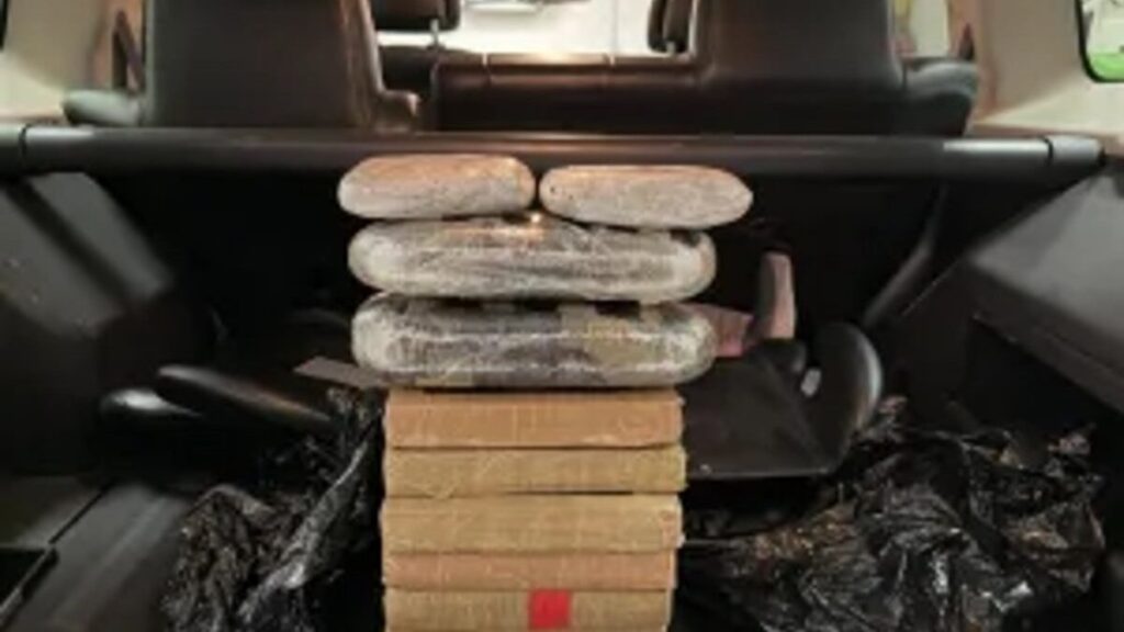 Agentes realizan operativo fronterizo e inspeccionan vehículo en corredor vial