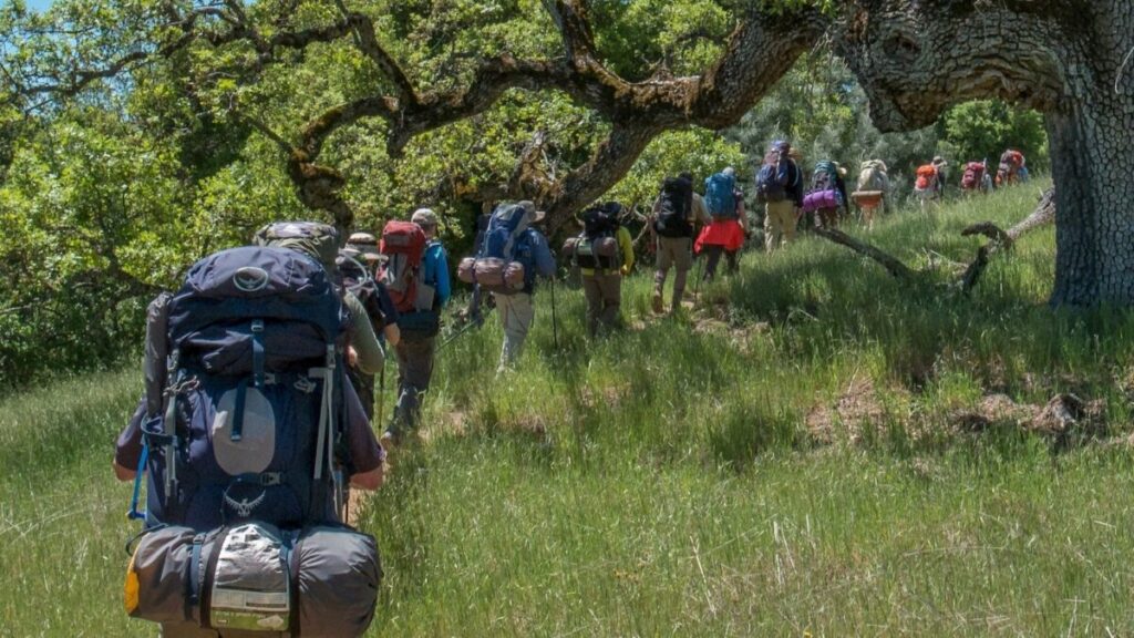 Vista aérea de la zona de Harmony Grove en San Diego afectada por riesgos de incendio y expansión urbana