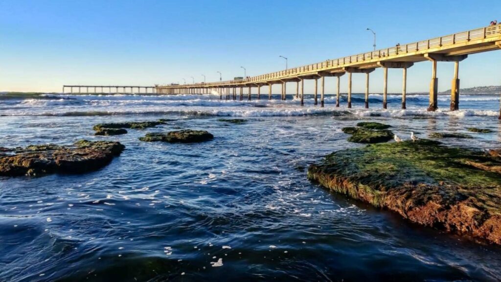 Escena nocturna con patrullas y cintas policiales en el muelle de Ocean Beach.
