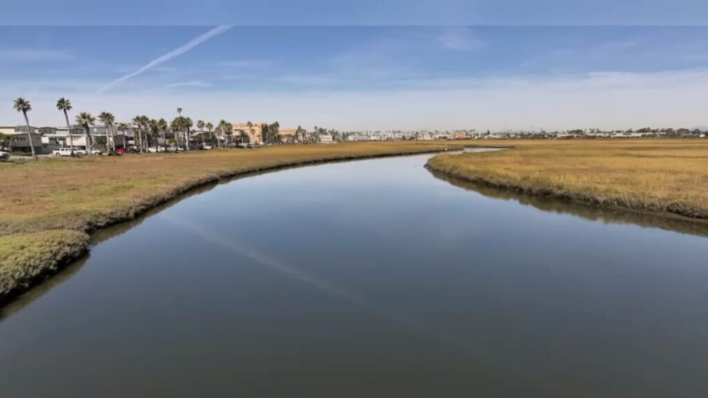 Paisaje urbano de South Bay afectado por hidrógeno sulfuroso y preocupación comunitaria por riesgos a largo plazo