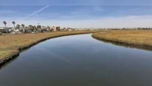 Paisaje urbano de South Bay afectado por hidrógeno sulfuroso y preocupación comunitaria por riesgos a largo plazo