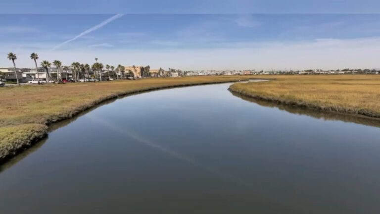 Paisaje urbano de South Bay afectado por hidrógeno sulfuroso y preocupación comunitaria por riesgos a largo plazo