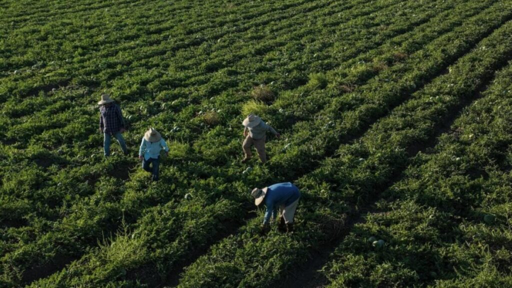 Disputa por el agua en California tras cambios federales que priorizan agricultura y generan tensión ambiental