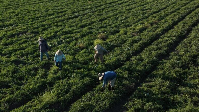 Disputa por el agua en California tras cambios federales que priorizan agricultura y generan tensión ambiental