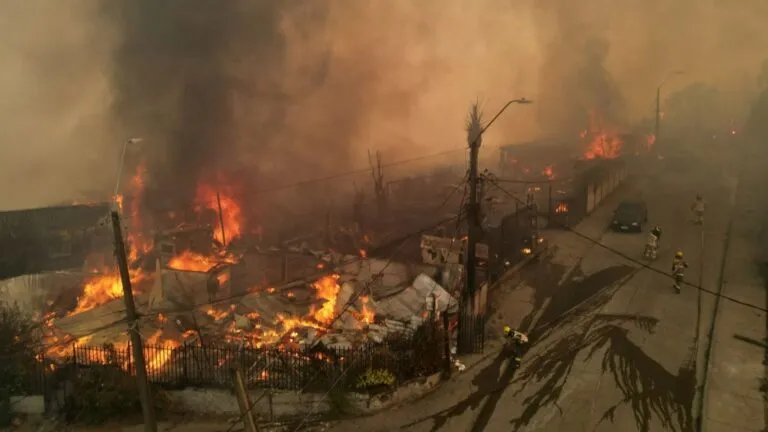 Chile enfrenta incendios forestales que afectan miles de hectáreas y obligan a evacuar comunidades en varias regiones