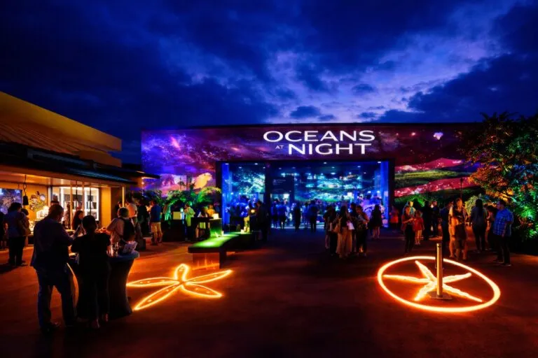 Personas adultas disfrutan Oceans at Night en el Birch Aquarium de San Diego con luces ambientales y exhibiciones interactivas