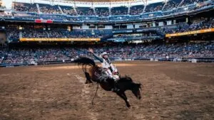Rodeos en San Diego y debate sobre bienestar animal en 2026