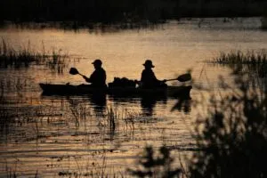 Voluntarios en kayak navegan por el río San Diego entre juncos al atardecer
