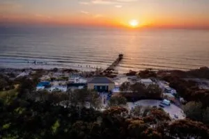 Actividad inspirada en Animal Crossing en acuario de San Diego que impulsa educación y turismo