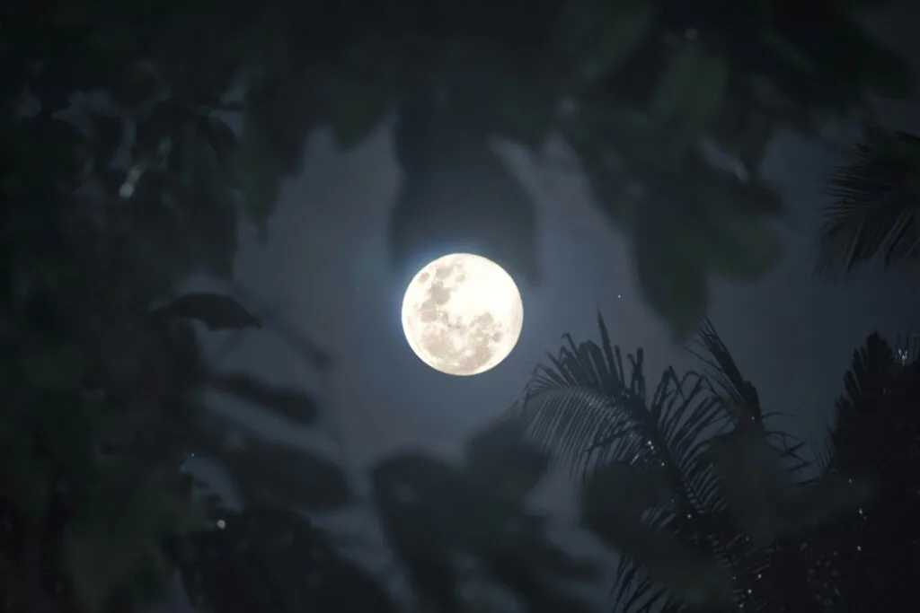 Cielo nocturno con la Luna de Nieve iluminando el paisaje en México, acompañada de nubes invernales