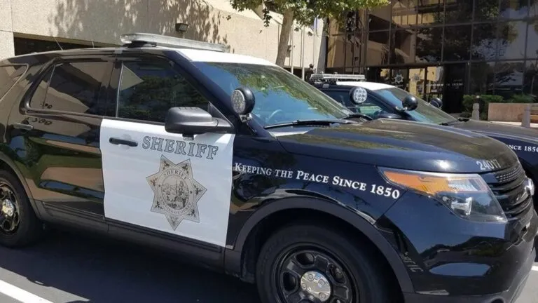 Agentes realizan operativo de seguridad en la línea Sprinter para reforzar la vigilancia y el transporte público en el norte del condado de San Diego