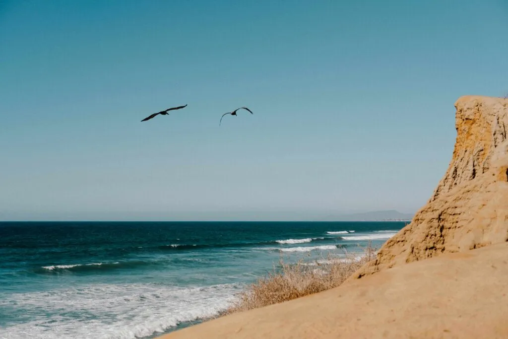 Vista panorámica de la costa de San Diego resaltando las zonas marinas protegidas y su vida marina vibrante