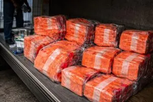 Incautación San Diego muestra decomiso de cartuchos para vapeo y narcóticos en operativo fronterizo en California