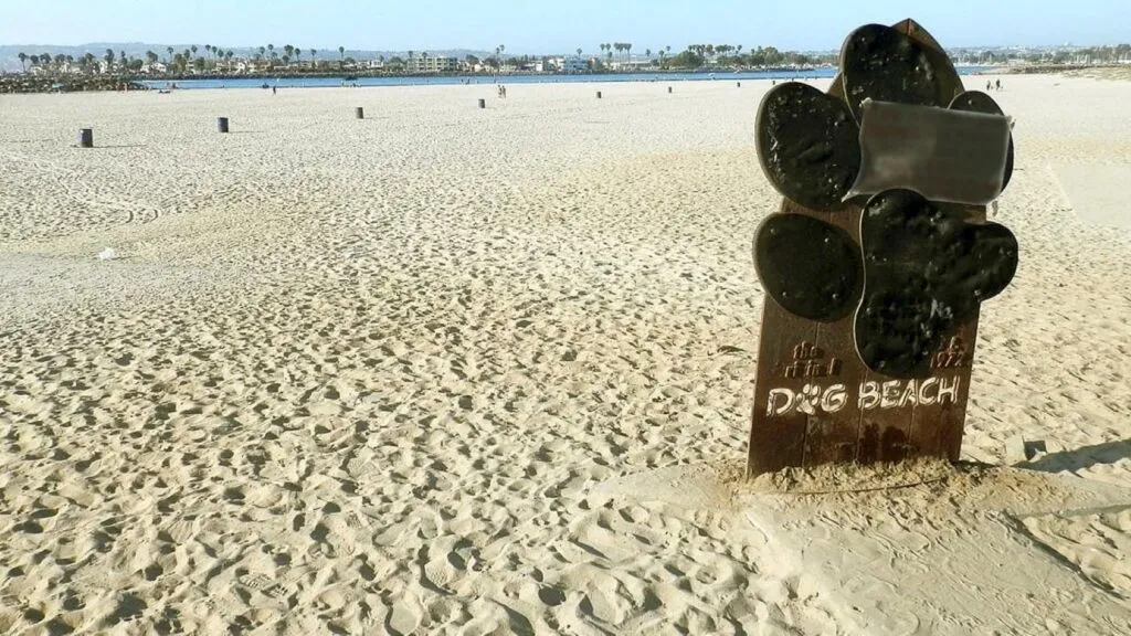 Ocean Beach en San Diego con advertencia sanitaria por aguas residuales y cierre de zona cercana a Dog Beach
