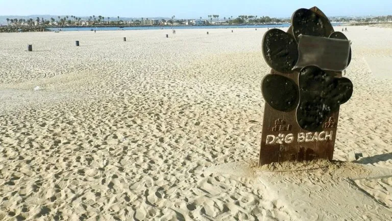 Ocean Beach en San Diego con advertencia sanitaria por aguas residuales y cierre de zona cercana a Dog Beach