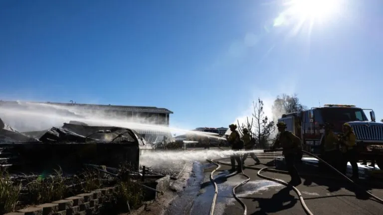 Clientes de State Farm en California podrían recibir reembolsos y enfrentar ajustes en seguros de vivienda tras incendios forestales recientes