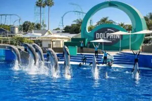 Espectáculos con drones en SeaWorld San Diego iluminando el cielo durante evento nocturno innovador