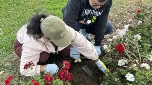 Casa de Mosaic en San Diego apoya a adultos con autismo con actividades comunitarias e inclusión social