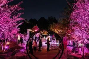 Natsu Nights en Balboa Park con mercado nocturno y actividades culturales japonesas en San Diego