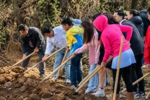 Biblioteca Oak Park con espacios culturales y tecnológicos para familias latinas en San Diego