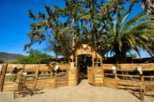 Wa Kumiai Tabita en Valle de Guadalupe con cocina kumiai contemporánea y turismo gastronómico 2026