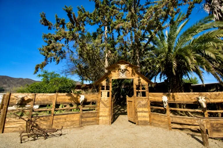 Wa Kumiai Tabita en Valle de Guadalupe con cocina kumiai contemporánea y turismo gastronómico 2026