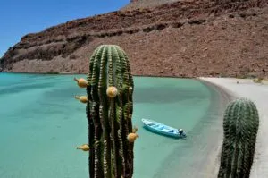 Valle de Guadalupe fortalece el turismo con nueva infraestructura de transporte y seguridad para visitantes