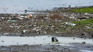 Proyecto ambiental para reducir contaminación en el río Tijuana mediante nuevos fondos estatales