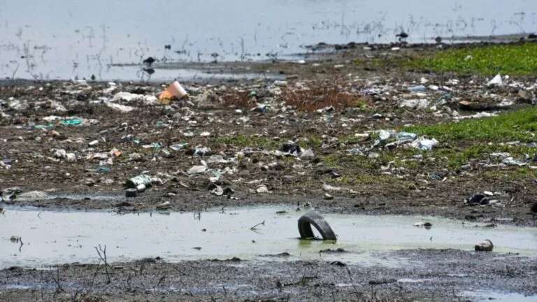 Proyecto ambiental para reducir contaminación en el río Tijuana mediante nuevos fondos estatales