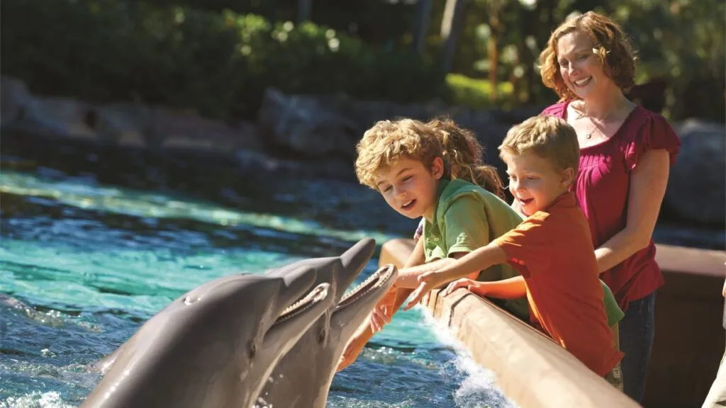 SeaWorld presenta rescate animal, investigación marina y experiencias de conservación para visitantes