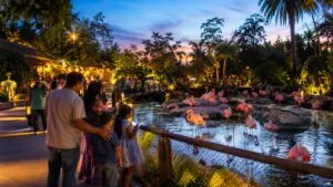 Nighttime Zoo terminará en agosto en el Zoológico de San Diego tras más de 25 años de actividades nocturnas