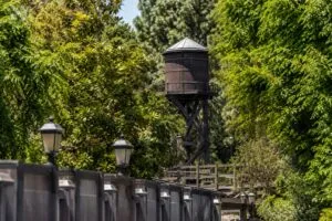 Visitante de Disneyland involucrado en incidente en Tiana’s Bayou Adventure en Anaheim California