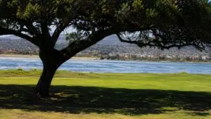 Humedad monzónica San Diego con oleaje, cielo parcialmente nublado y mareas altas en la costa del sur de California.