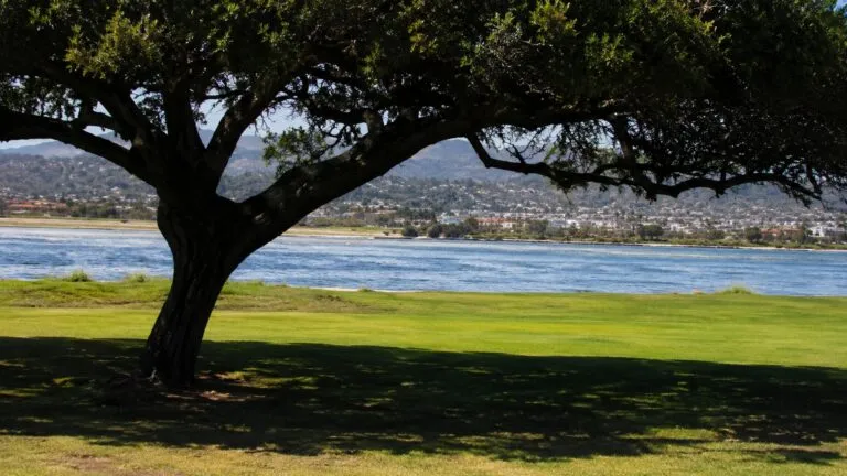 Humedad monzónica San Diego con oleaje, cielo parcialmente nublado y mareas altas en la costa del sur de California.