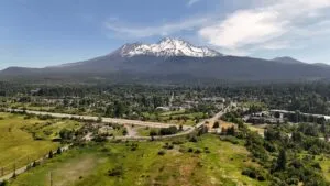Secuestro de trabajadores del Servicio Forestal de Estados Unidos en un bosque de California