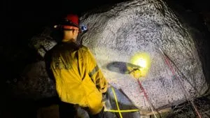 Bomberos de San Diego rescatan a dos cachorros atrapados bajo una roca con ayuda de equipo especializado.