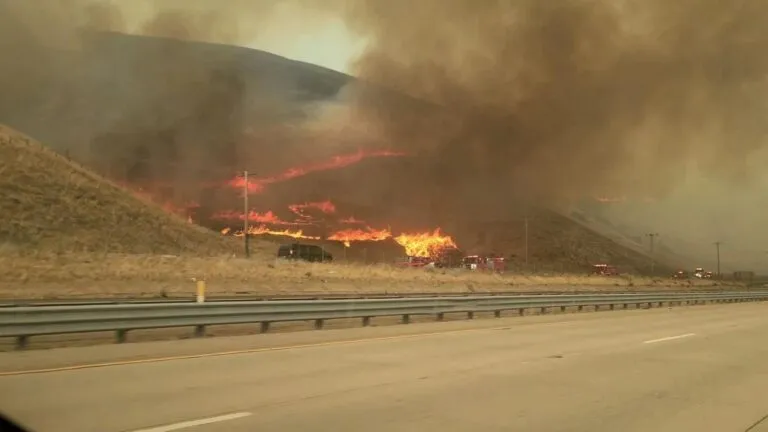 Incendio Ridge afecta más de 1,100 acres cerca de Gorman y moviliza un amplio operativo de bomberos en California.
