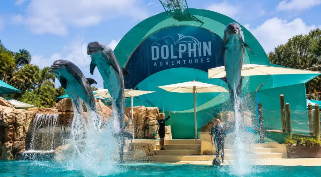 SeaWorld San Diego reúne atracciones, vida marina y espectáculos para disfrutar en familia
